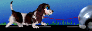 DogRun3.gif (68404 bytes)